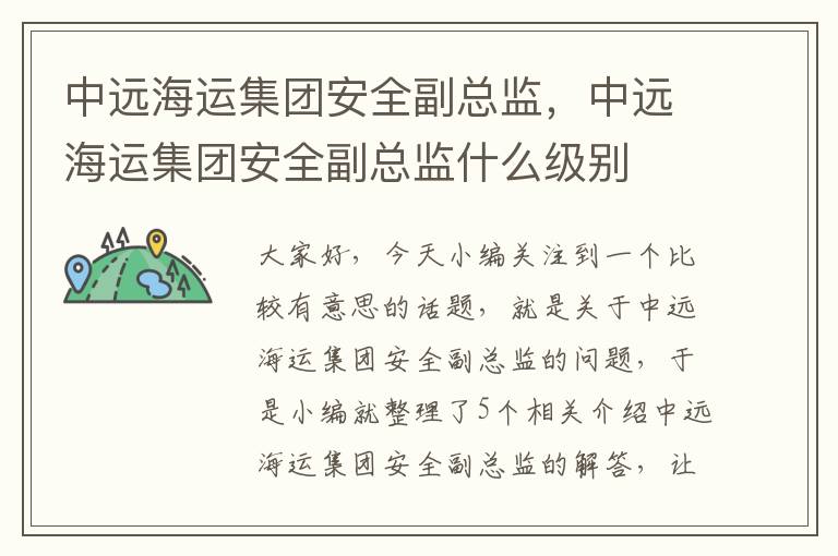 中远海运集团安全副总监，中远海运集团安全副总监什么级别