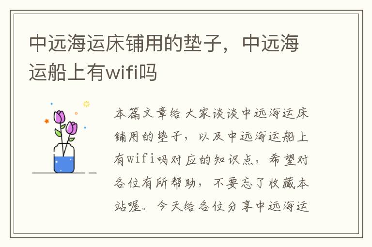 中远海运床铺用的垫子，中远海运船上有wifi吗