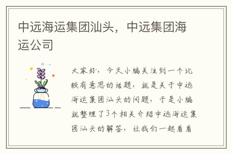 中远海运集团汕头，中远集团海运公司