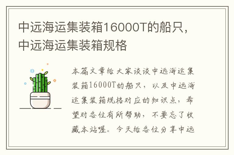 中远海运集装箱16000T的船只，中远海运集装箱规格