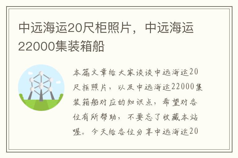 中远海运20尺柜照片，中远海运22000集装箱船