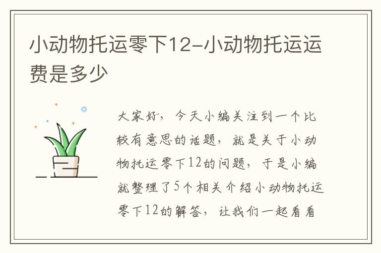 小动物托运零下12-小动物托运运费是多少