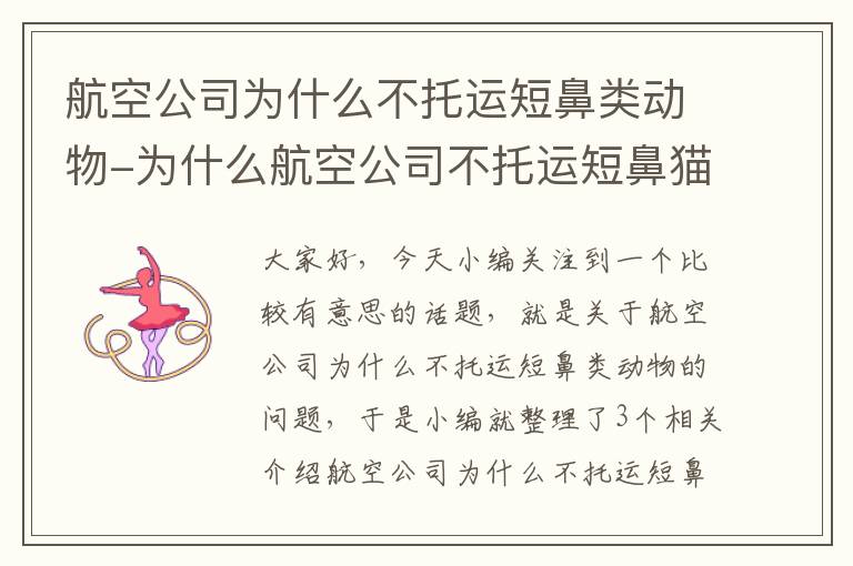 航空公司为什么不托运短鼻类动物-为什么航空公司不托运短鼻猫