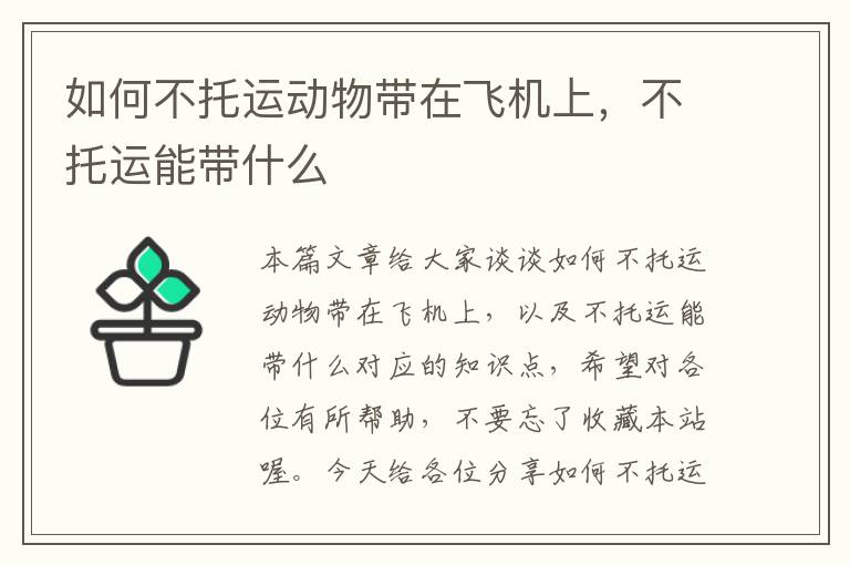 如何不托运动物带在飞机上，不托运能带什么