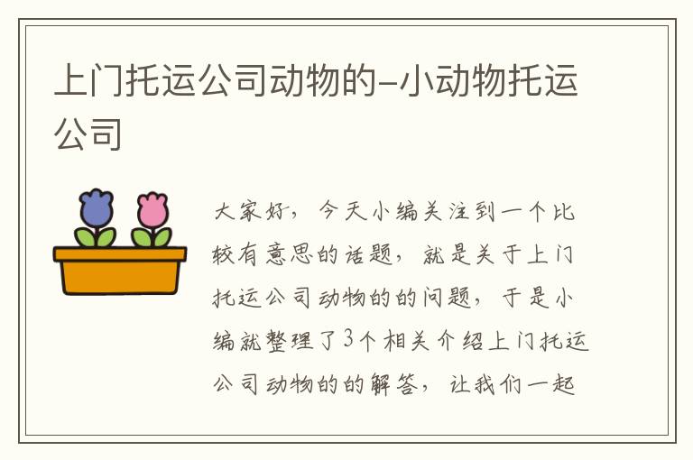 上门托运公司动物的-小动物托运公司