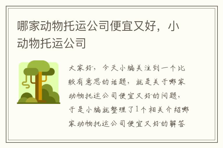 哪家动物托运公司便宜又好，小动物托运公司