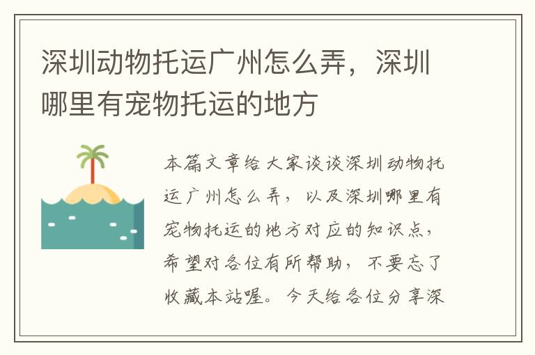 深圳动物托运广州怎么弄，深圳哪里有宠物托运的地方