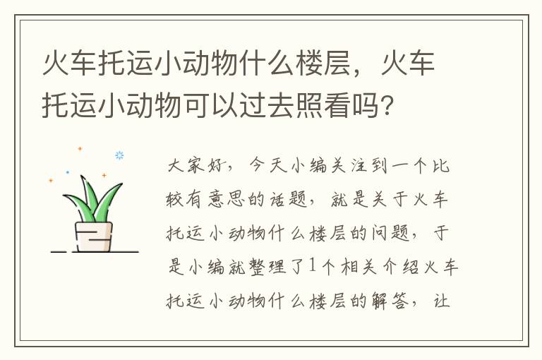 火车托运小动物什么楼层，火车托运小动物可以过去照看吗?