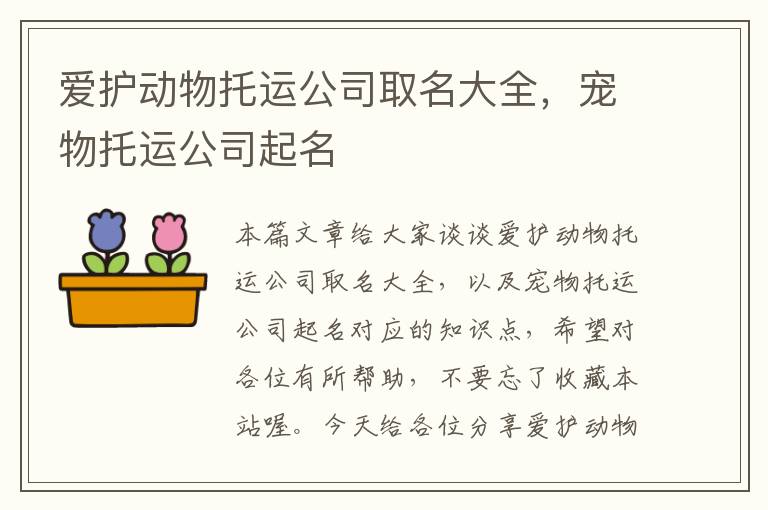 爱护动物托运公司取名大全，宠物托运公司起名