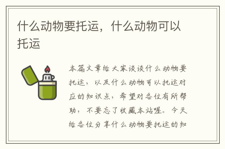 什么动物要托运，什么动物可以托运