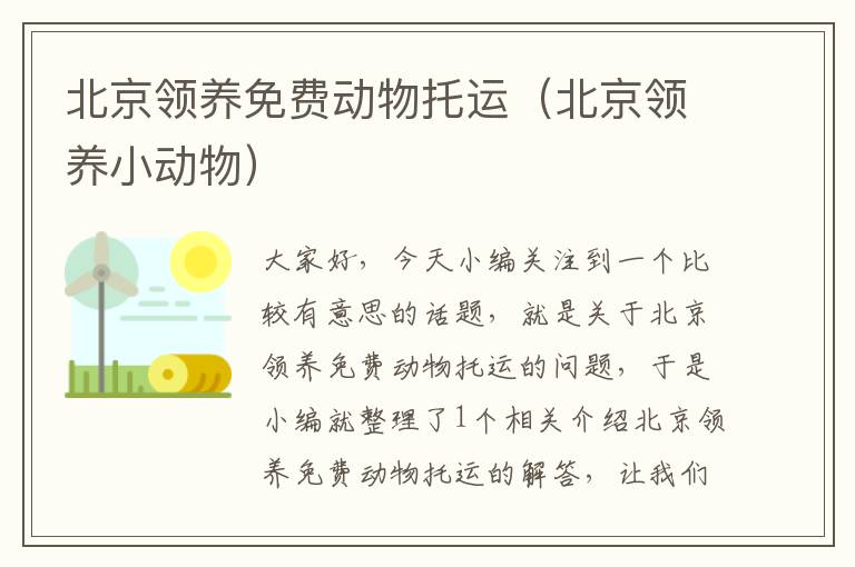 北京领养免费动物托运（北京领养小动物）