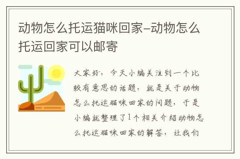 动物怎么托运猫咪回家-动物怎么托运回家可以邮寄