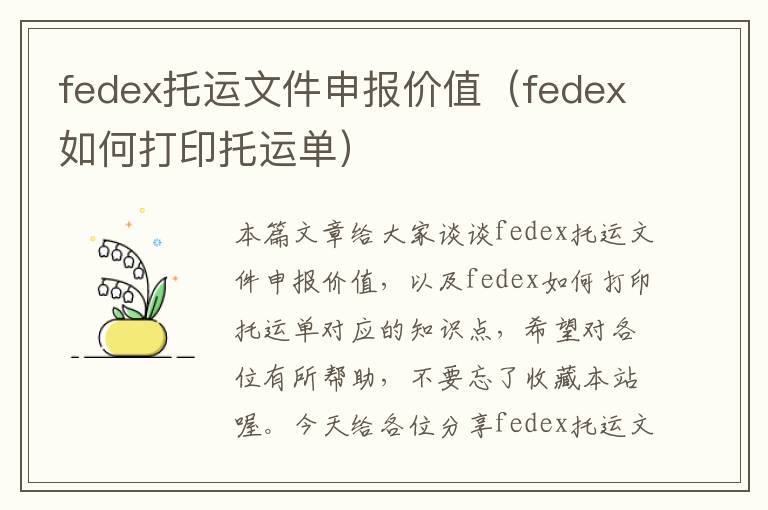 fedex托运文件申报价值（fedex如何打印托运单）