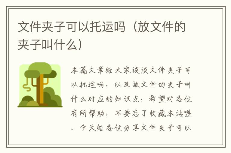 文件夹子可以托运吗（放文件的夹子叫什么）