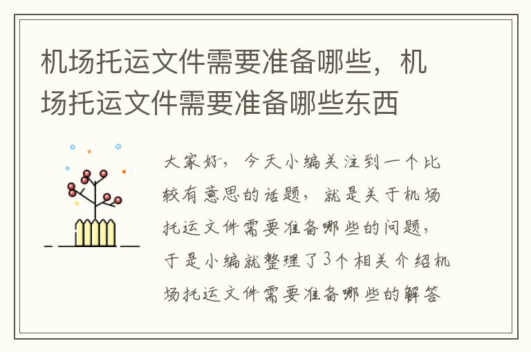 机场托运文件需要准备哪些，机场托运文件需要准备哪些东西