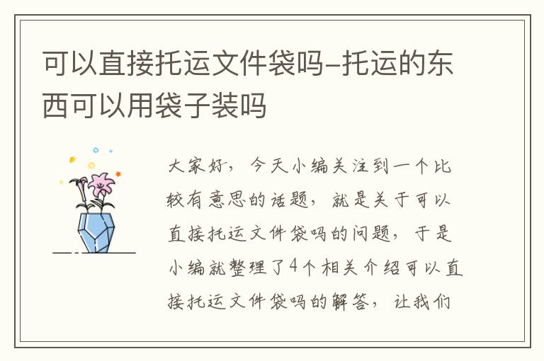 可以直接托运文件袋吗-托运的东西可以用袋子装吗