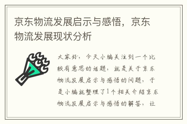 京东物流发展启示与感悟，京东物流发展现状分析