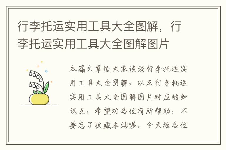 行李托运实用工具大全图解，行李托运实用工具大全图解图片