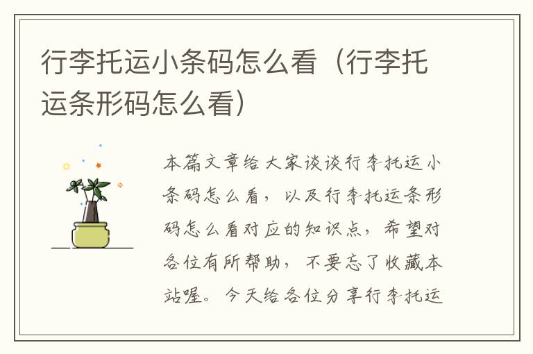 行李托运小条码怎么看（行李托运条形码怎么看）