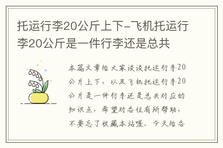 托运行李20公斤上下-飞机托运行李20公斤是一件行李还是总共