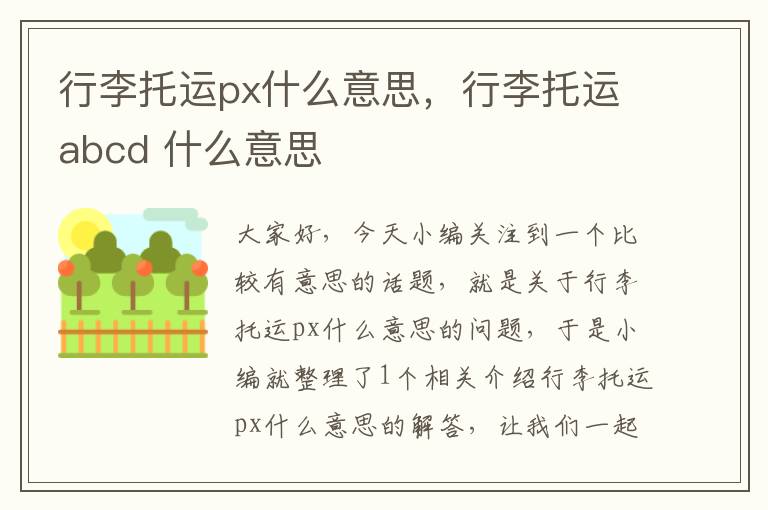 行李托运px什么意思，行李托运abcd 什么意思