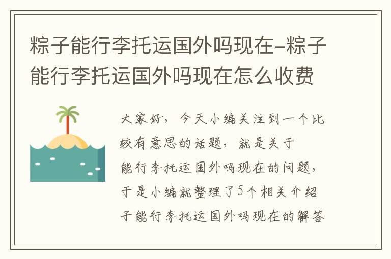 粽子能行李托运国外吗现在-粽子能行李托运国外吗现在怎么收费