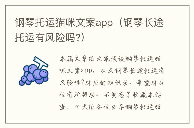 钢琴托运猫咪文案app（钢琴长途托运有风险吗?）