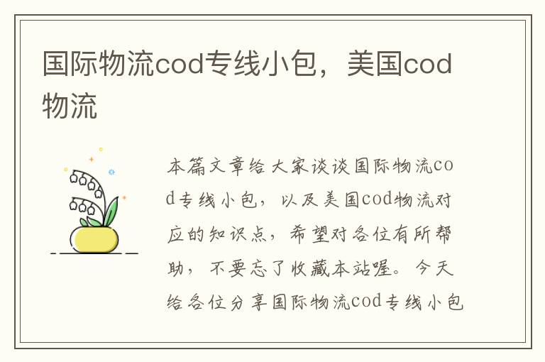 国际物流cod专线小包，美国cod物流