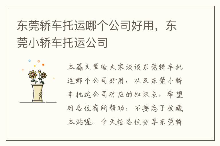 东莞轿车托运哪个公司好用，东莞小轿车托运公司