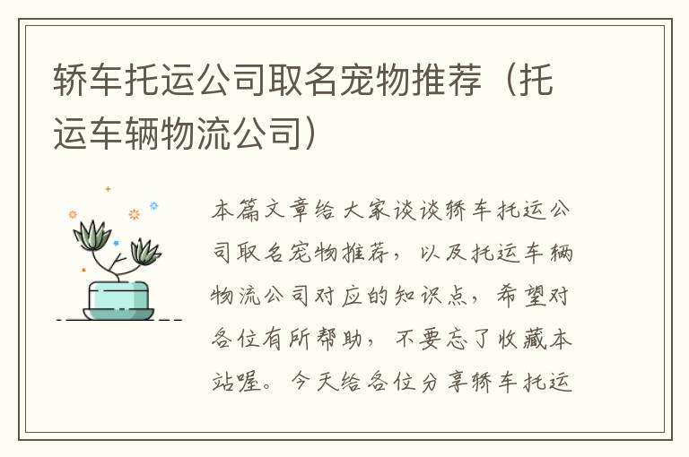 轿车托运公司取名宠物推荐（托运车辆物流公司）