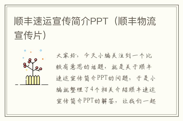 顺丰速运宣传简介PPT（顺丰物流宣传片）